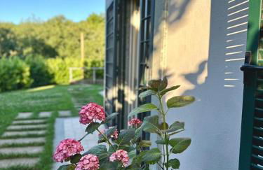 La Sovrana dei Cimini - Foto 61