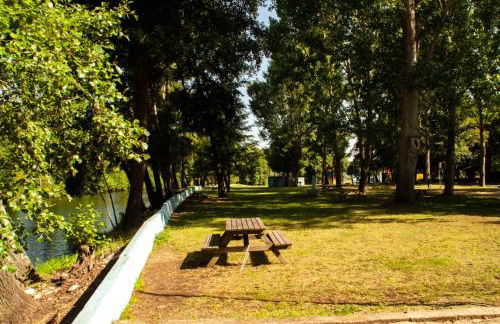 Quintinha Viçosa - Foto 68