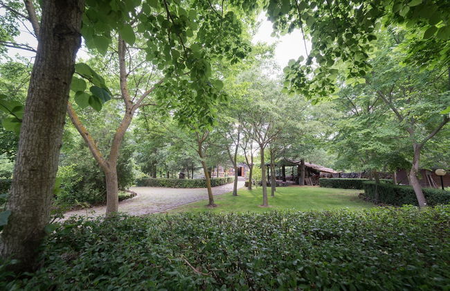 Il Castagno dell'Etna - Foto 21