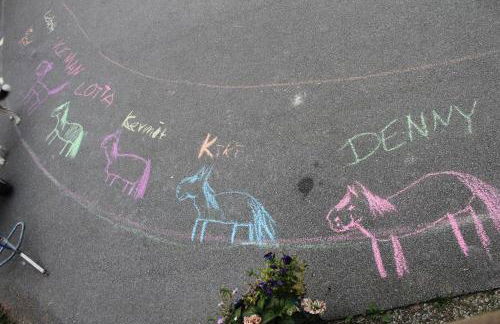 Ferienhof am Deich - Foto 20