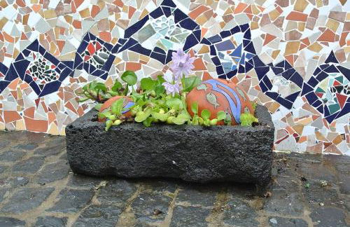 Lobo do Mar - Photo 15