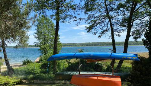 Domek Marzeń Powidz - Foto 4