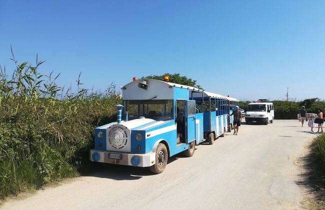 Trullo Alessandro e Villa Raffaela - Foto 57
