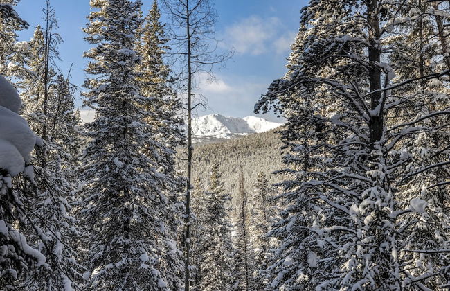 Lichen Huts - Foto 14