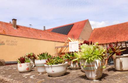 Biobauer Heubach - Foto 11