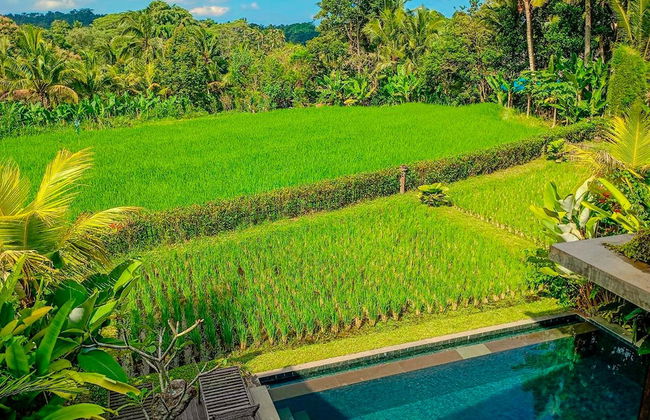 Dukuh Ubud Villas - Foto 18