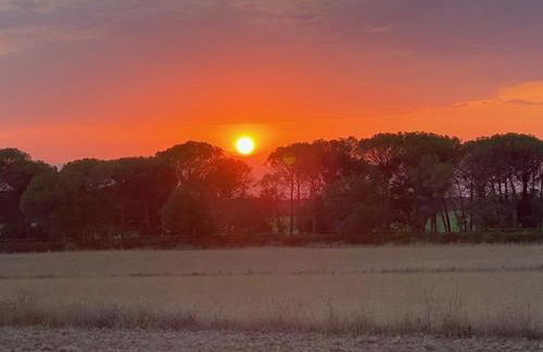 Can Massanet - Photo 15