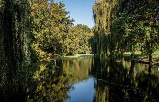 Villa in Nijmegen With VIP Amenities - Foto 27