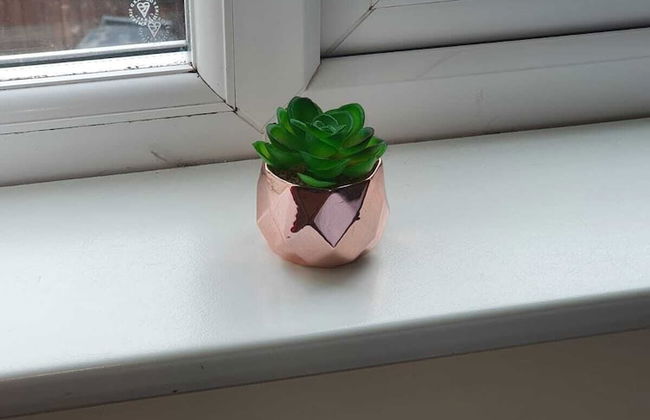 Comfortable Homestay in Stoke - Photo 32