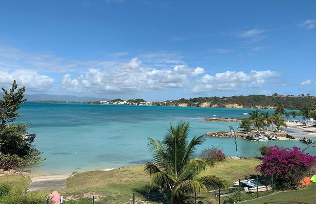 Résidence Les Yuccas by Weekome - Foto 12