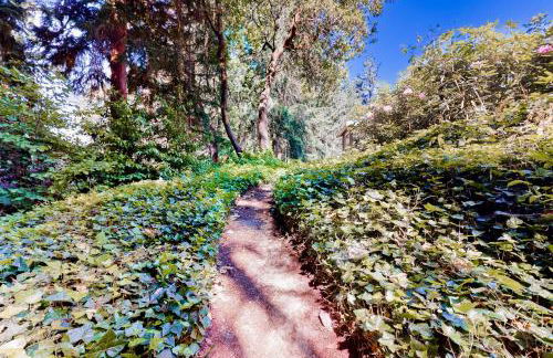 Calamity Cabin - Foto 22