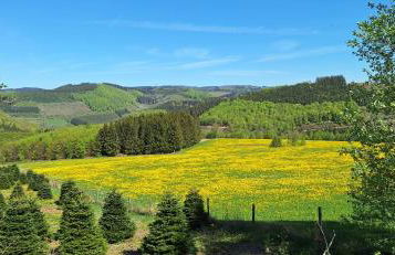 Landhaus Gnacke - Foto 38