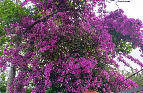 Precioso chalet próximo a Sevilla con jardín y piscina privada 8 personas Wifi gratis 2 salones 4 dormitorios 2 baños - Foto 70