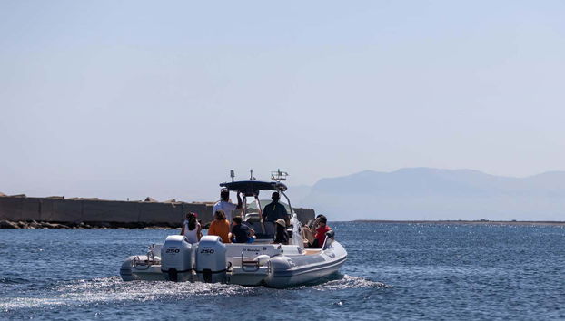 Il divertimento è assicurato