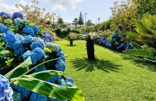 Paraíso Verde - Foto 14