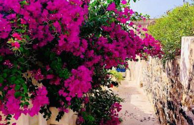 Loukas Kontos Traditional House - Foto 44