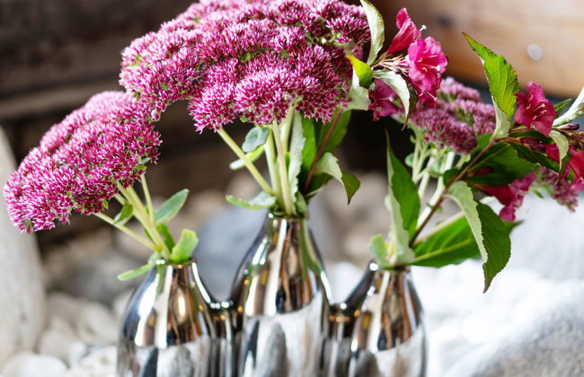 Schwarzenegg - Foto 20