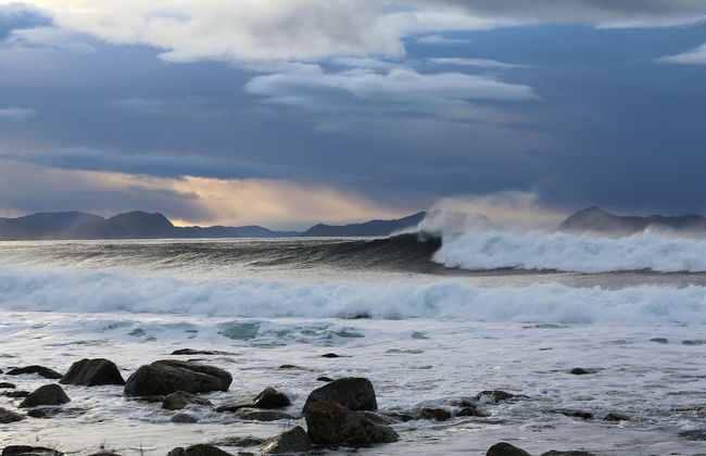 Alnes Gård - Photo 69