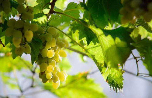 Apartment Ema - Foto 3