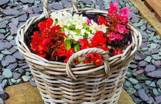 Cornish Village Getaway - Foto 33