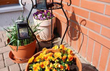 Apartamenty LeVilla - Foto 79