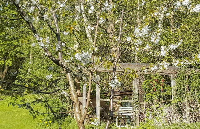 6 Person Holiday Home in Soby Aero - Foto 17