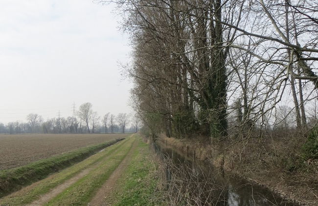 Agriturismo Le Risaie - Photo 45