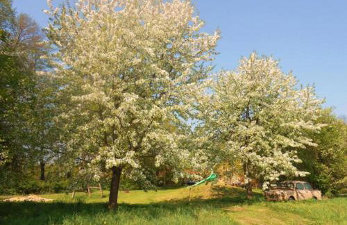 Waldblick Forest Retreat - Foto 75