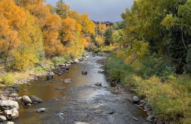 Beaver Creek, Avon condo, walk to ski shuttle - on the Eagle River - Foto 7