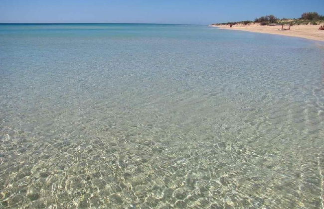 Dolce Mimì - Foto 11