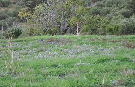 Orgon Farm Country Houses - Foto 25