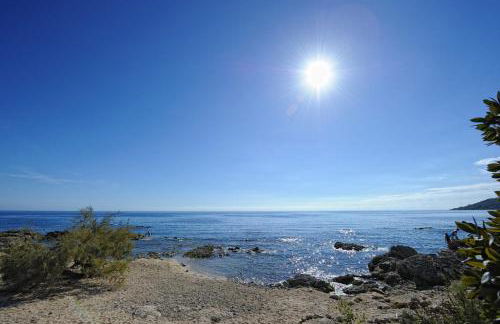 Domaine de Pianiccia - Foto 13