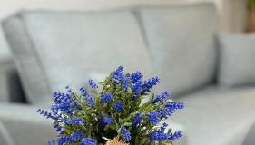 Calpe Beach Apartment III Apolo 7 - Photo 5