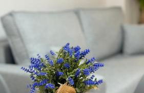 Calpe Beach Apartment III Apolo 7 - Photo 5