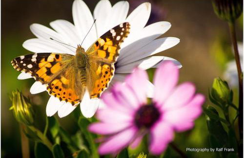 Traditional Fishing Village Apartments - Foto 47