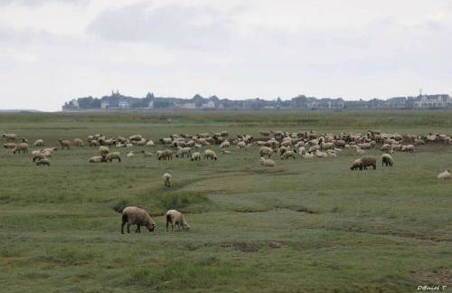 la villa mersoise - Foto 17