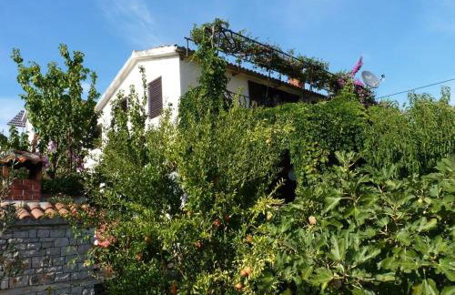 Apartment Zeljko - Photo 1