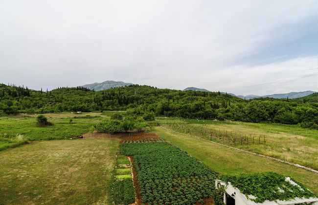 Apartments Dubrovnik Banac - Photo 29