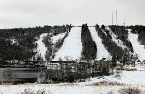 Lux Retreat with Indoor Swim Spa Game Lounge Theater Hot Tub Sauna - Foto 66