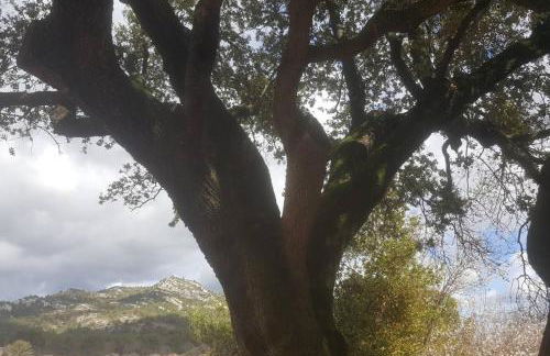 Charmant Appartement Neuf Le Taoume - Foto 24