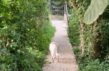 Clos Augusta 2 - Foto 11