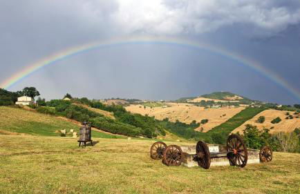 Casale Il Picchio Verde - Foto 15