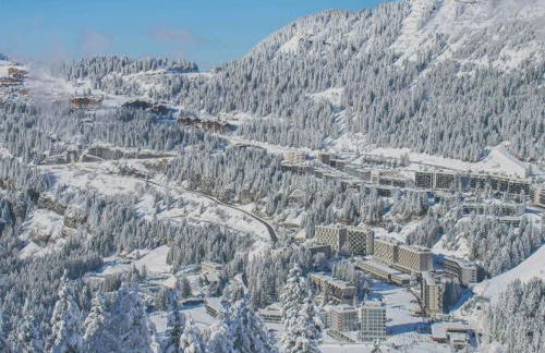 2 pièces à Flaine, 6 couchages, à 50m des pistes - FR-1-687-89 - Foto 9
