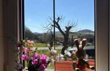 -am Fuß zum Zittauer Gebirge- - Foto 6