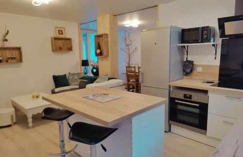 Location MarjoRI - T2 Le Roselin - Foto 5