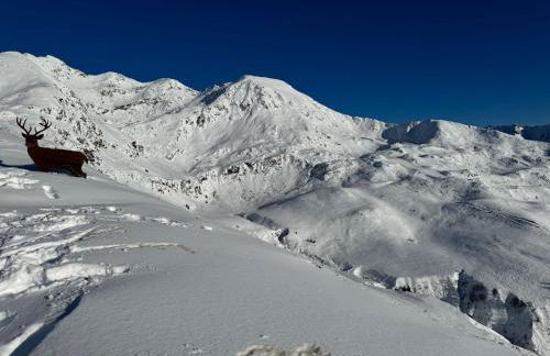 Sweet Peaks - Photo 24