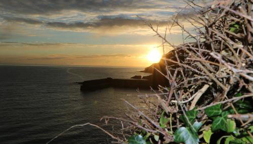 SunnyVale Valley View Cottage - Foto 2