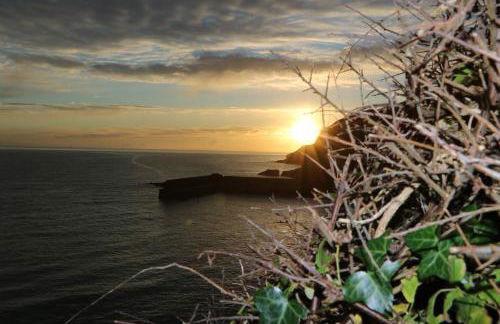 SunnyVale Valley View Cottage - Foto 2