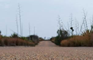 Flamingos view apartment in Cabo de Gata - Foto 25