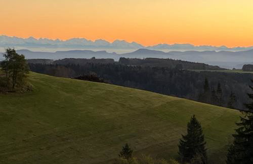 Blackforest Homestay Apartments - Foto 41